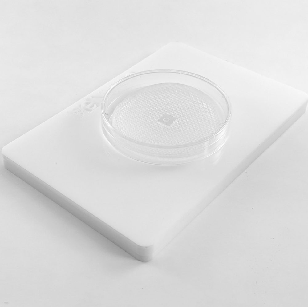 Accessories. Photograph of eNUVIO's centrifuge adapter with an EB-DISK to produce organoids/embryoid bodies