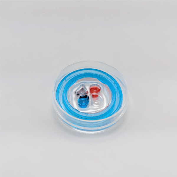 Photograph of eNUVIO's OMEGA AG device with three chambers. Source chamber 1 is filled with blue liquid, source chamber two is filled with red liquid, neuronal chamber is filled with colorless liquid, waste chamber is filled with silver liquid. Device is placed in a 35mm petri dish with a blue evaporation minimizer