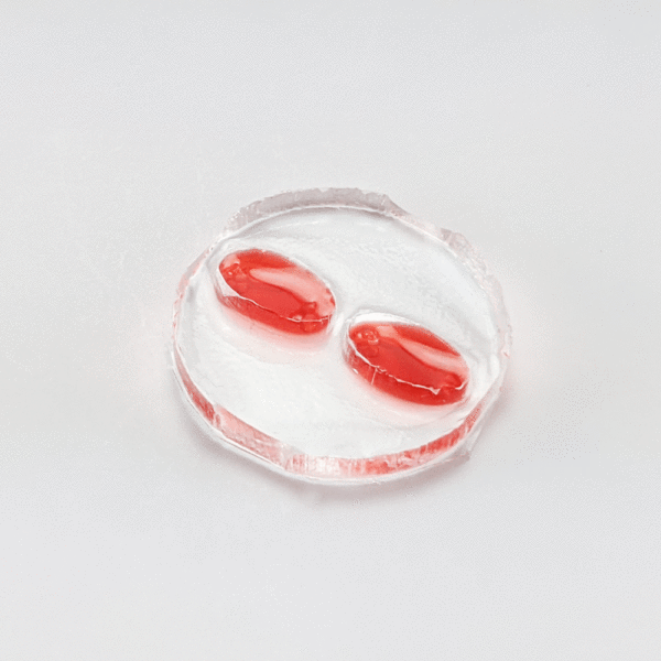 Photograph of OMEGA-MP muscle post device, Transparent disk with two cut-out ovals each containing two round thin pillars, filled with red liquid