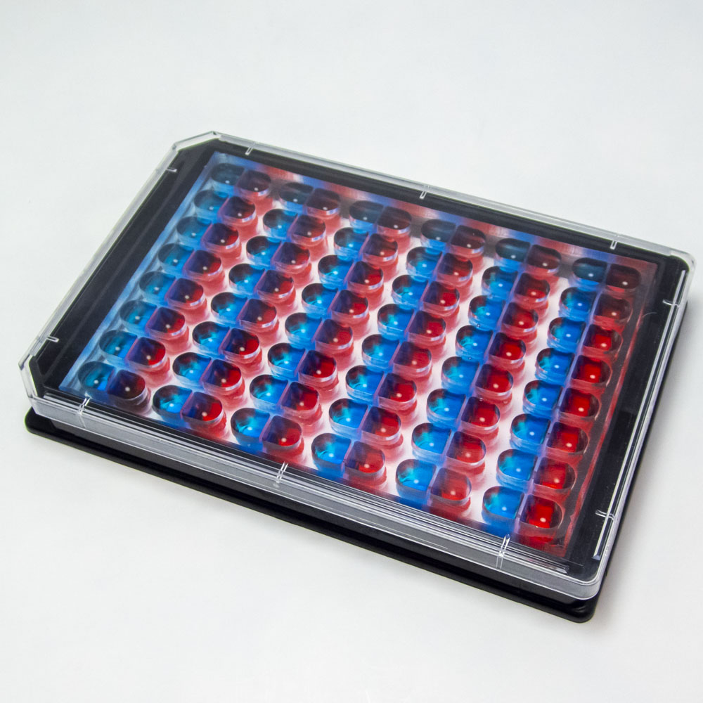 Photograph of eNUVIO's OMEGA-96 device, microplate with 48 pairs of chambers filled with red and blue liquid. One red and one blue chamber form a unit.