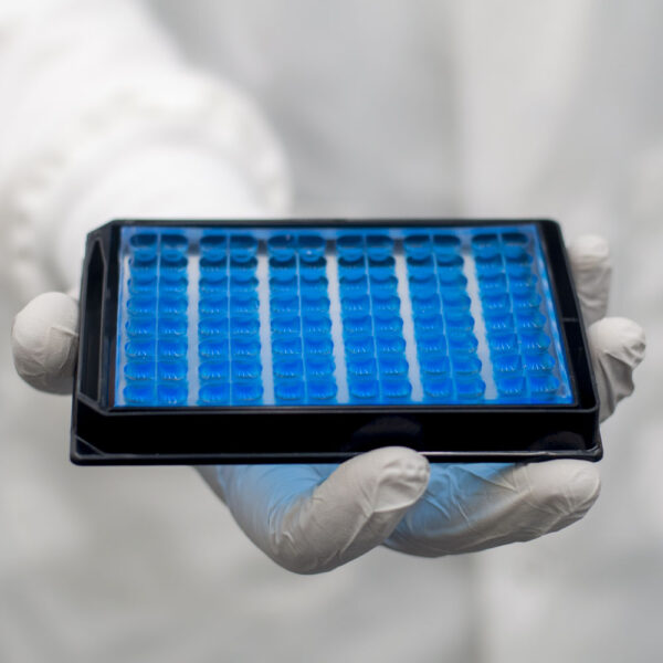 Scientist holding HTS-compatible microfluidic neuronal co-culture and compartmentalization screening plate OMEGA-96 microplate by eNUVIO.
