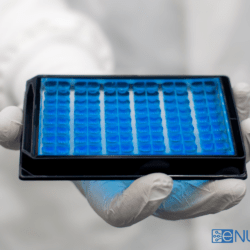 Scientist holding HTS-compatible microfluidic neuronal co-culture and compartmentalization screening plate OMEGA-96 microplate by eNUVIO. With eNUVIO logo