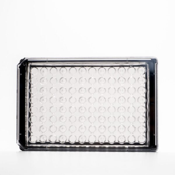 photo of eNUVIO's EB-CLARIFY microplate without colorant, topview