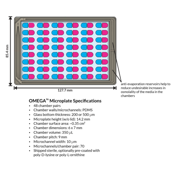 Microplate specifications for eNUVIO’s OMEGA-96 neuronal microfluidic co-culture and compartmentalization screening plate