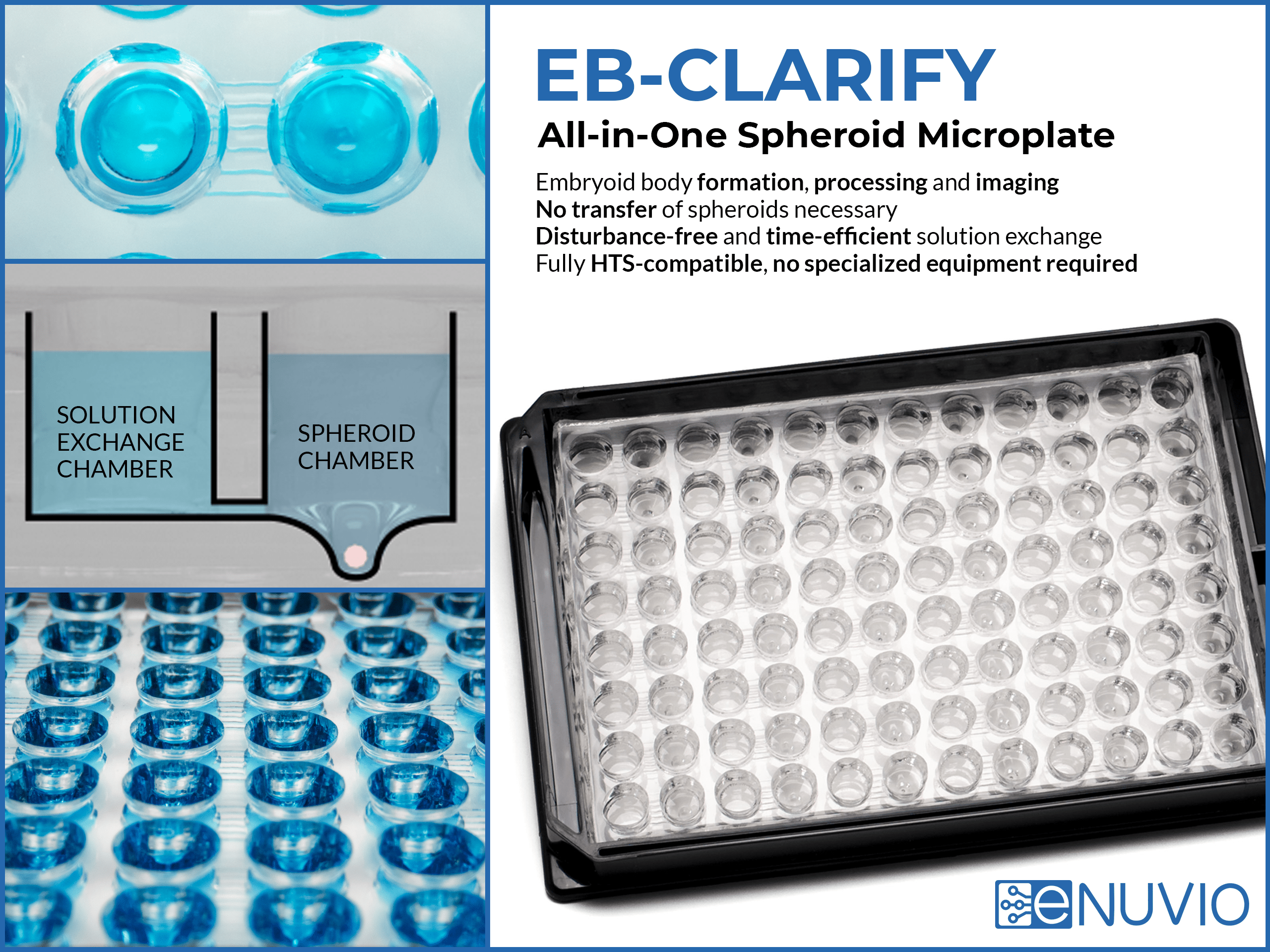 EB-CLARIFY all-in-one spheroid microplate. Embryoid body formation, processing and imaging. No transfer of spheroid necessary. Disturbance-free and time-efficient solution exchange. Fully HTS-compatible, no specialized equipment required.