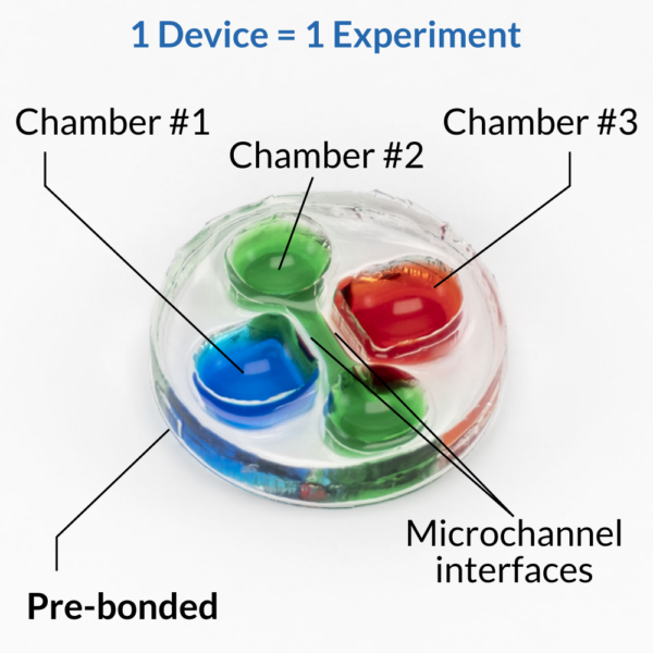 Photo of eNUVIO's OMEGA-ACE-2mm neuronal co-culture and compartmentalization device - 3 chambers.The device comes pre-bonded, pre-wetted and ready to go. 1 device = 1 experiment