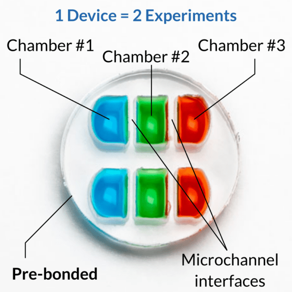 Triple chamber neuronal microfluidic co-culture and compartmentalization device OMEGA-ACE-4mm by eNUVIO. Chamber #1 is labeled blue, chamber #2 is labeled green, chamber #3 is labeled red. Chambers are connected by microfluidic microchannels. The device comes pre-bonded, pre-wetted and ready to go. 1 device = 2 experiments