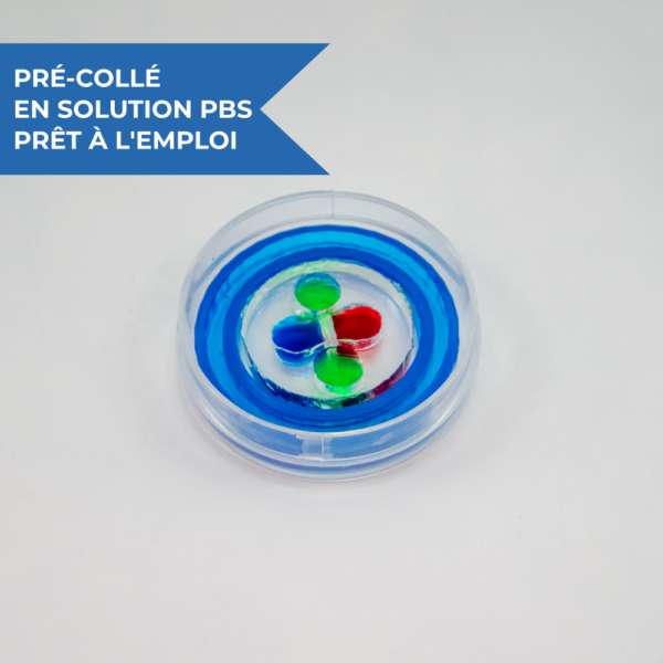 Dispositif microfluidique de co-culture neuronale et de compartimentation à trois chambres OMEGA-ACE starter kit d'eNUVIO, inséré dans une boîte de Petri de 35 mm avec un minimiseur d'évaporation. La chambre #1 est étiquetée en bleu, la chambre #2 est étiquetée en vert, la chambre #3 est étiquetée en rouge. Les chambres sont reliées par des microcanaux microfluidiques. Ce dispositif à base de PDMS est pré-collé à une lamelle couvre-objet en verre. Le dispositif est livré pré-collé, pré-mouillé et prêt à l'emploi. 1 dispositif = 1 expérience